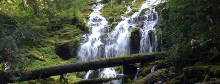 Proxy Falls is one of In & Around Bend.