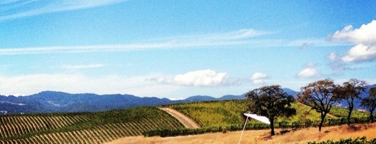 William Hill Estate Winery is one of North of SF: To Do.