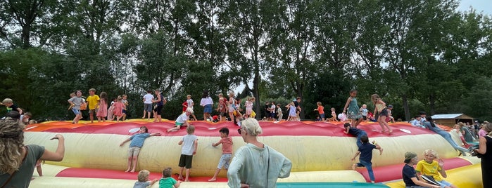 Sfinks Mixed is one of Festivals in Vlaanderen.