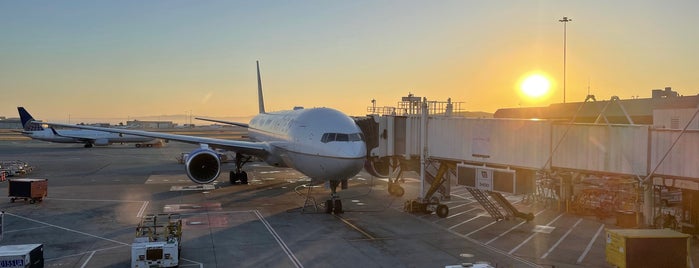 Gate F11 is one of Rob : понравившиеся места.