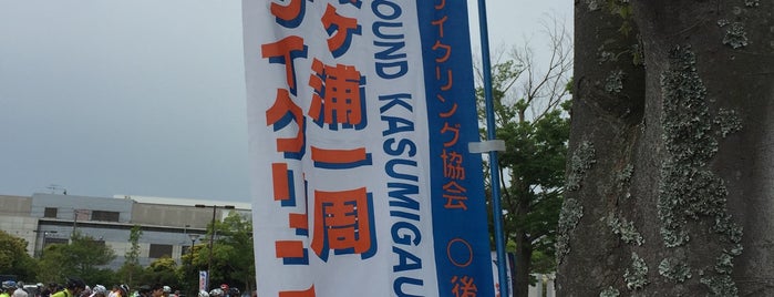 Kasumigaura Comprehensive Park is one of りんりんロードポタ♪.