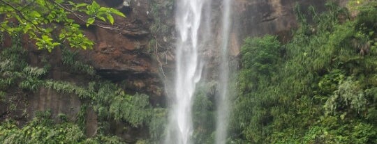 ピナイサーラの滝 is one of Lugares guardados de Sandip.