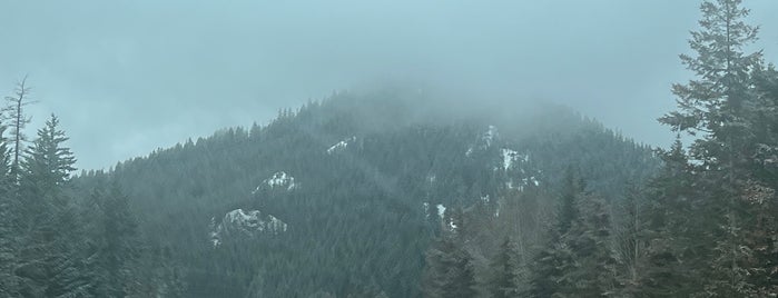 Wenatchee National Forest is one of Seattle.