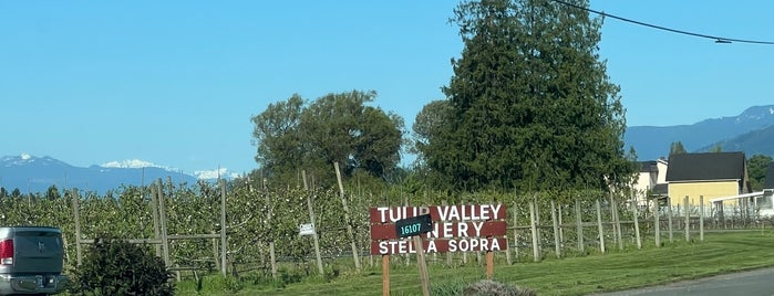 Tulip Valley Winery is one of Wineries.