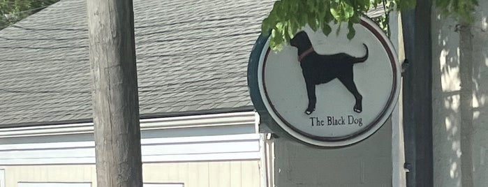 The Black Dog - General Store is one of Martha's Vineyard.