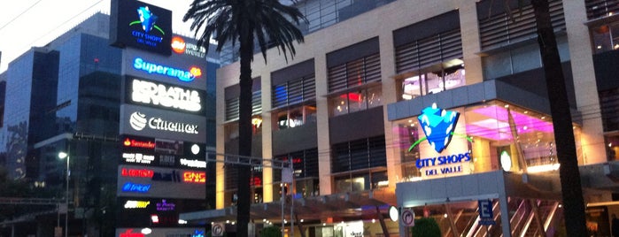 City Shops Del Valle is one of Locais curtidos por Enrique.