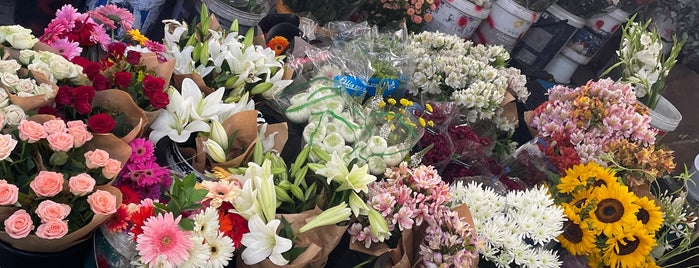 Trafalgar Place Flower Market is one of Markets & Sunday Outings.