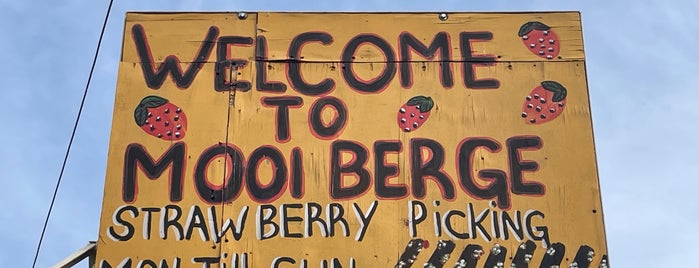 Mooiberg Farm Stall is one of Western cape.