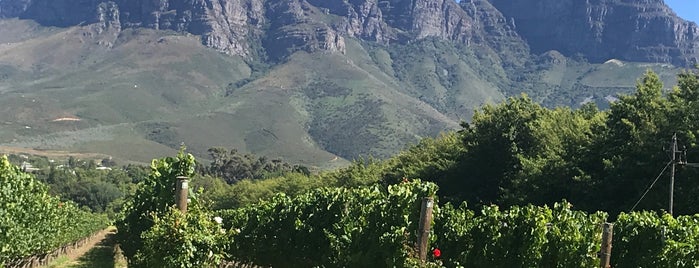 Lourensford Wine Estate is one of Lieux qui ont plu à Ola.