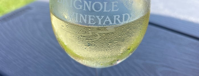Brignole Vineyards is one of NY/CT Wineries.