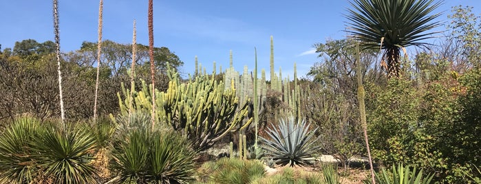 Jardin Etnobotanico De Oaxaca is one of Tempat yang Disukai Andy.