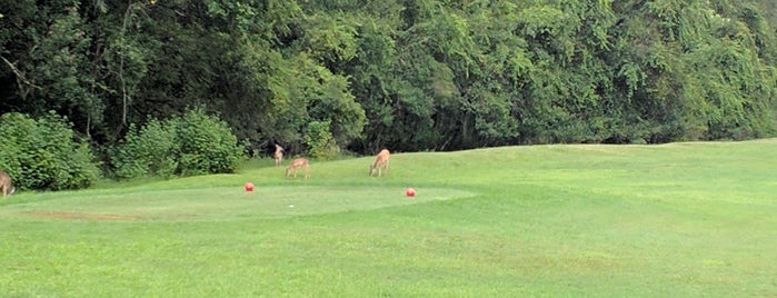 Lansbrook Golf Club is one of Golf Courses.