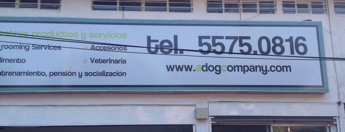 A Dog Company is one of สถานที่ที่ Monika ถูกใจ.