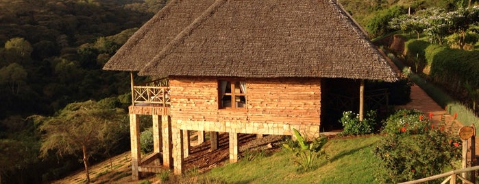 Ngorongoro Exploreans Lodge is one of Places I've Stayed.