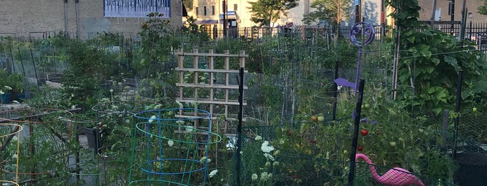 Vedgewater Community Garden-Peterson Garden Project is one of Nature.