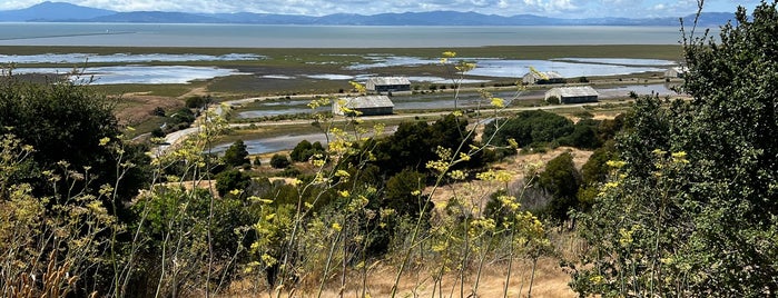 Mare Island Shoreline Heritage Preserve is one of Hikes To Do.