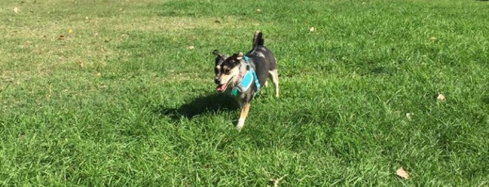 Kiwanis Dog Park is one of MI-to-do.