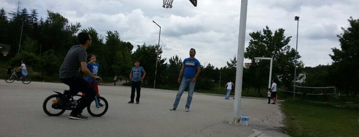 Odtü Basketbol Sahası is one of Locais curtidos por Taner.