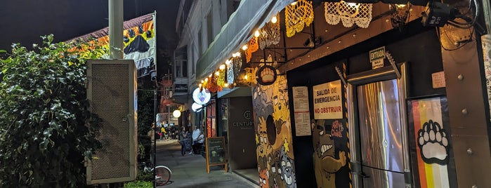 Nicho Bears & Bar is one of Mexico City must sees.