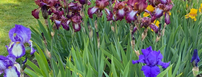 Presby Memorial Iris Gardens is one of Orte, die Lizzie gefallen.