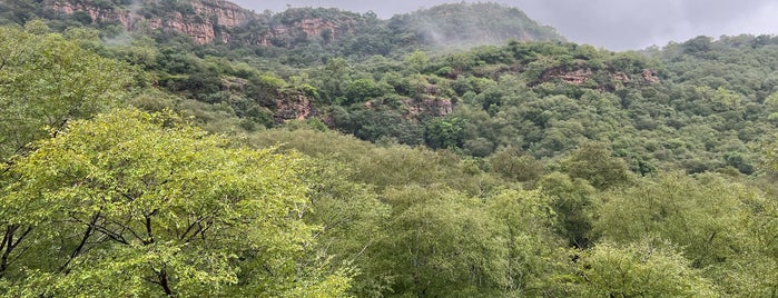 Ranthambhore National Park | रणथंभौर राष्ट्रीय उद्यान is one of Lieux qui ont plu à Joyce.