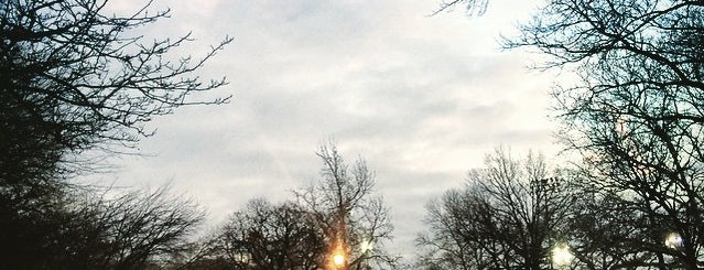 McCarren Park Food Cart is one of patricia 님이 저장한 장소.