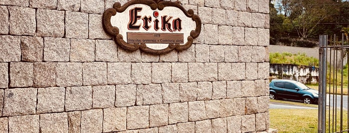 Erika is one of Curitiba.