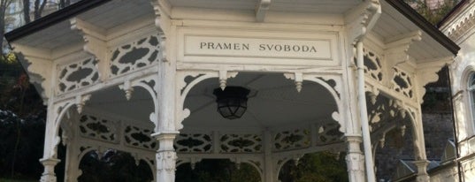 Pramen Svoboda #11 is one of Karlovy Vary / 2012.