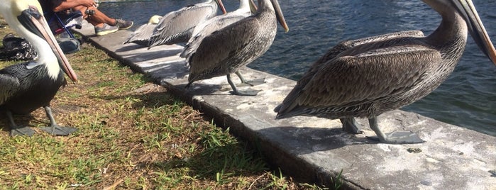 North Straub Park is one of Orlando/2013.