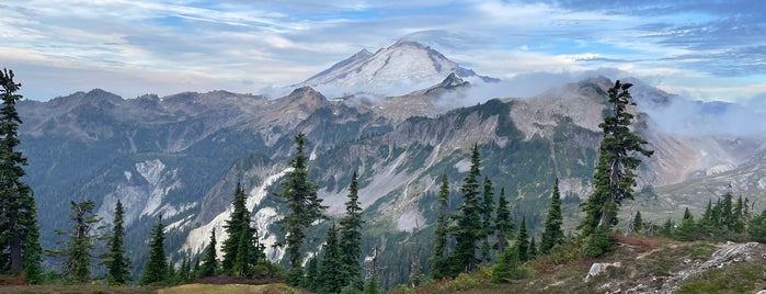 Artist Point is one of Tempat yang Disukai Rohan.