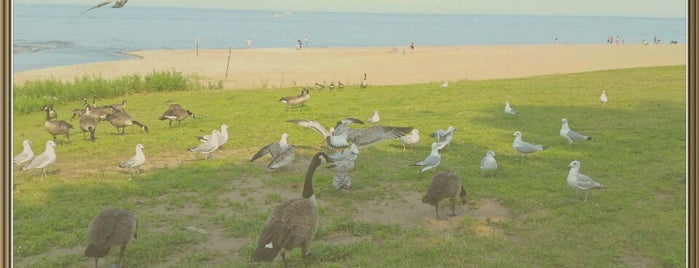 Mouth of Pike Creek in Kenosha is one of Orte, die robin gefallen.