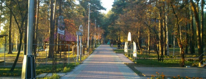 Заельцовский парк is one of Новосибирск / Novosibirsk.