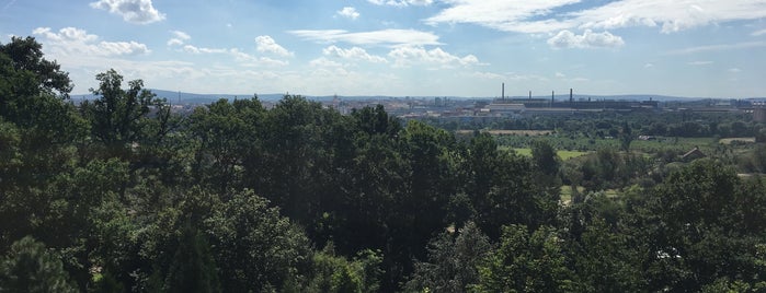 ZOO Plzeň is one of Filip : понравившиеся места.