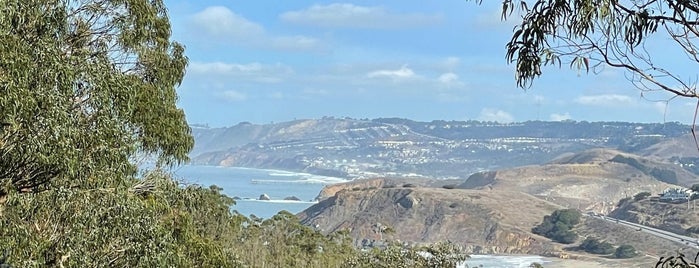 Old San Pedro Mountain Road is one of HWY1: SF to Davenport.