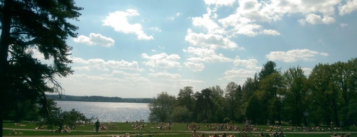 Pyynikin läntinen uimaranta is one of Harrasteet, puistot & muut mestat.
