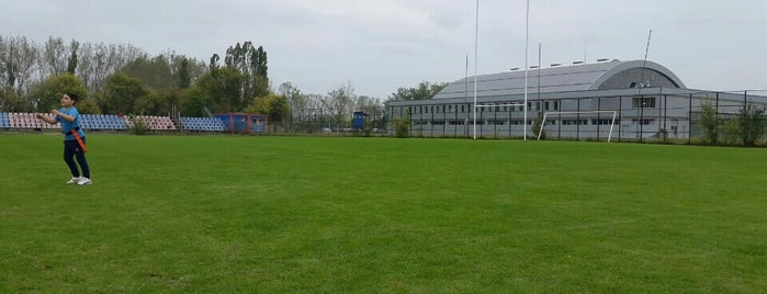 Stadionul de Rugby Steaua is one of Locais curtidos por Radu.