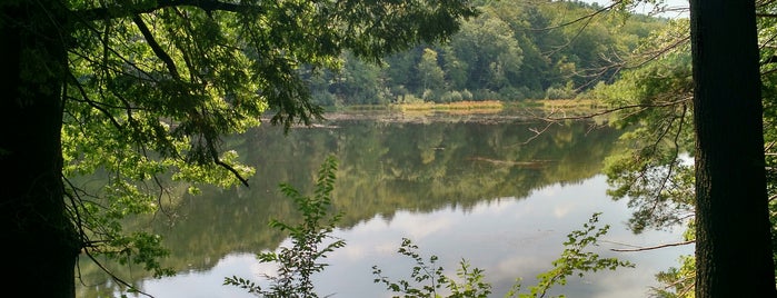 Mt Tom State Park is one of Berkshires.