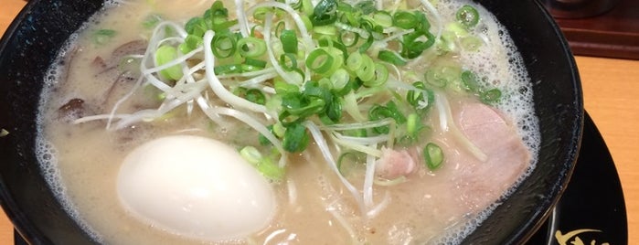 Hakata Ikkousha is one of ラーメン７ (*o*).