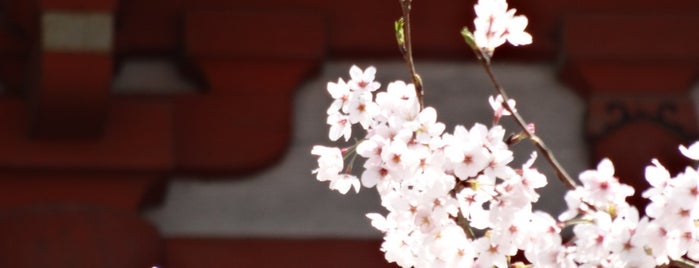 Daigo-ji Temple is one of Travel : Sakura Spot.