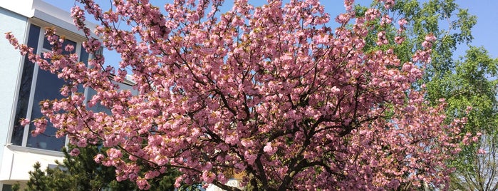 Waldstadt is one of Karlsruhe + trips.