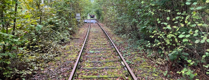 Südpfalz-Draisinenbahn is one of Südpfalz-Draisinenbahn.