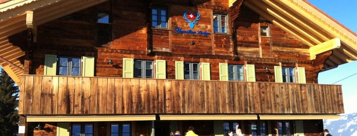 Hamilton Lodge Zweisimmen is one of Places to go in Switzerland.