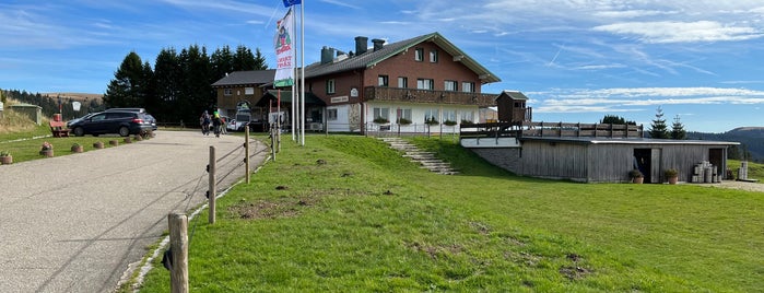 Todtnauer Hütte is one of Ferienheim Tannenhof in Rothaus.