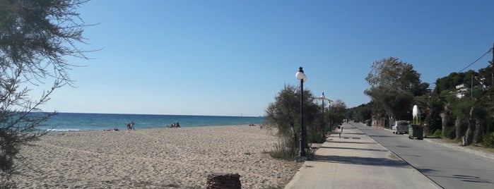 Nea Moudania Beach is one of Orte, die Alejandro gefallen.