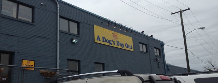 A Dog's Day Out is one of Life in North Old Town.