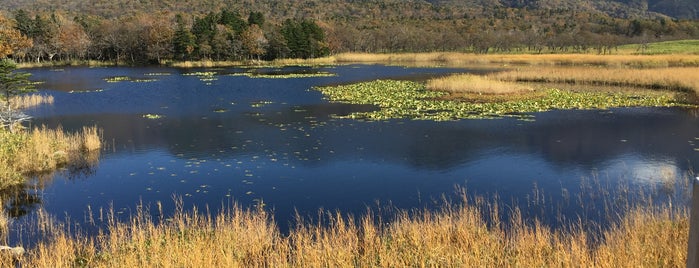 Lake Ichiko (Shiretoko Five Lakes) is one of 景色.