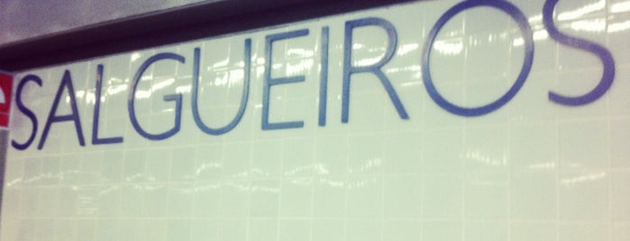 Metro Salgueiros [D] is one of Rede de transportes.