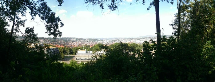 Bismarckeiche is one of Stuttgart Best: Sights & shops.