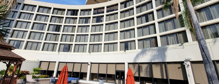 Tampa Airport Marriott is one of สถานที่ที่ Justin ถูกใจ.
