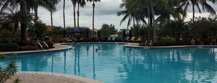 Paseo Pool is one of PASEO.